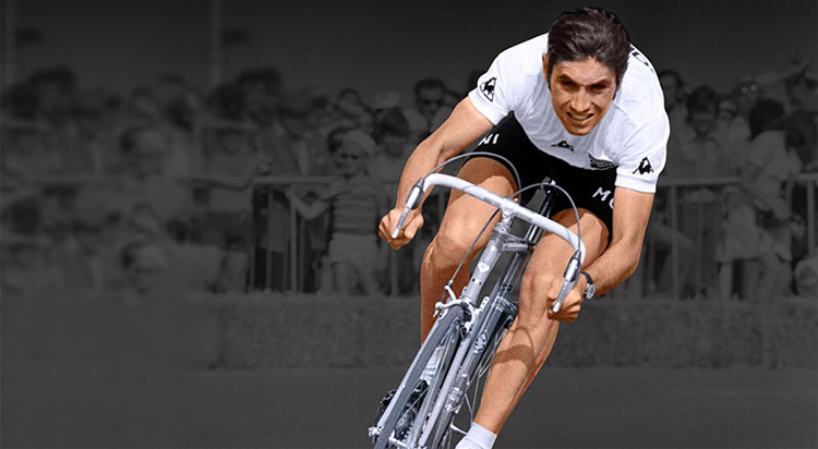 Eddy Merckx