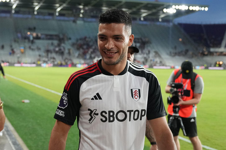 Raul Jimenez Raul Jimenez